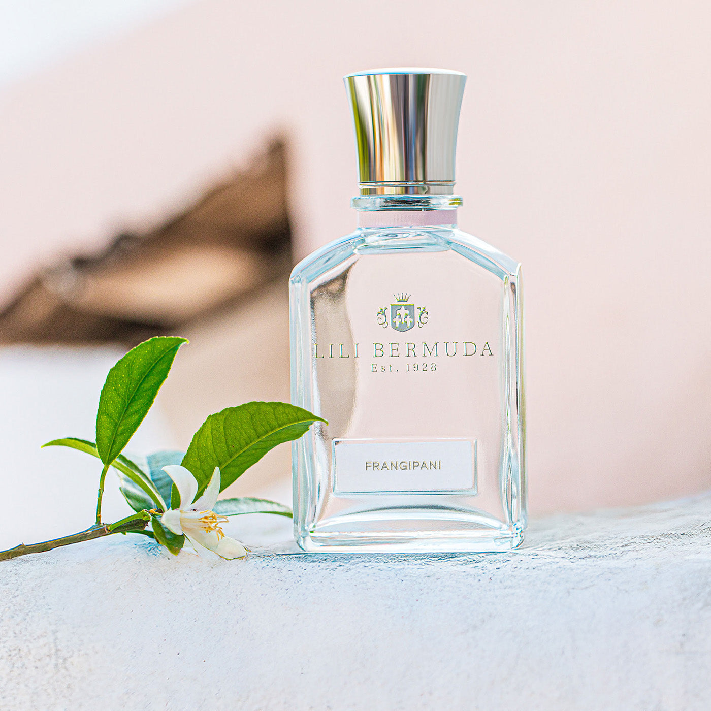 Why is Lili Bermuda a rare perfume?