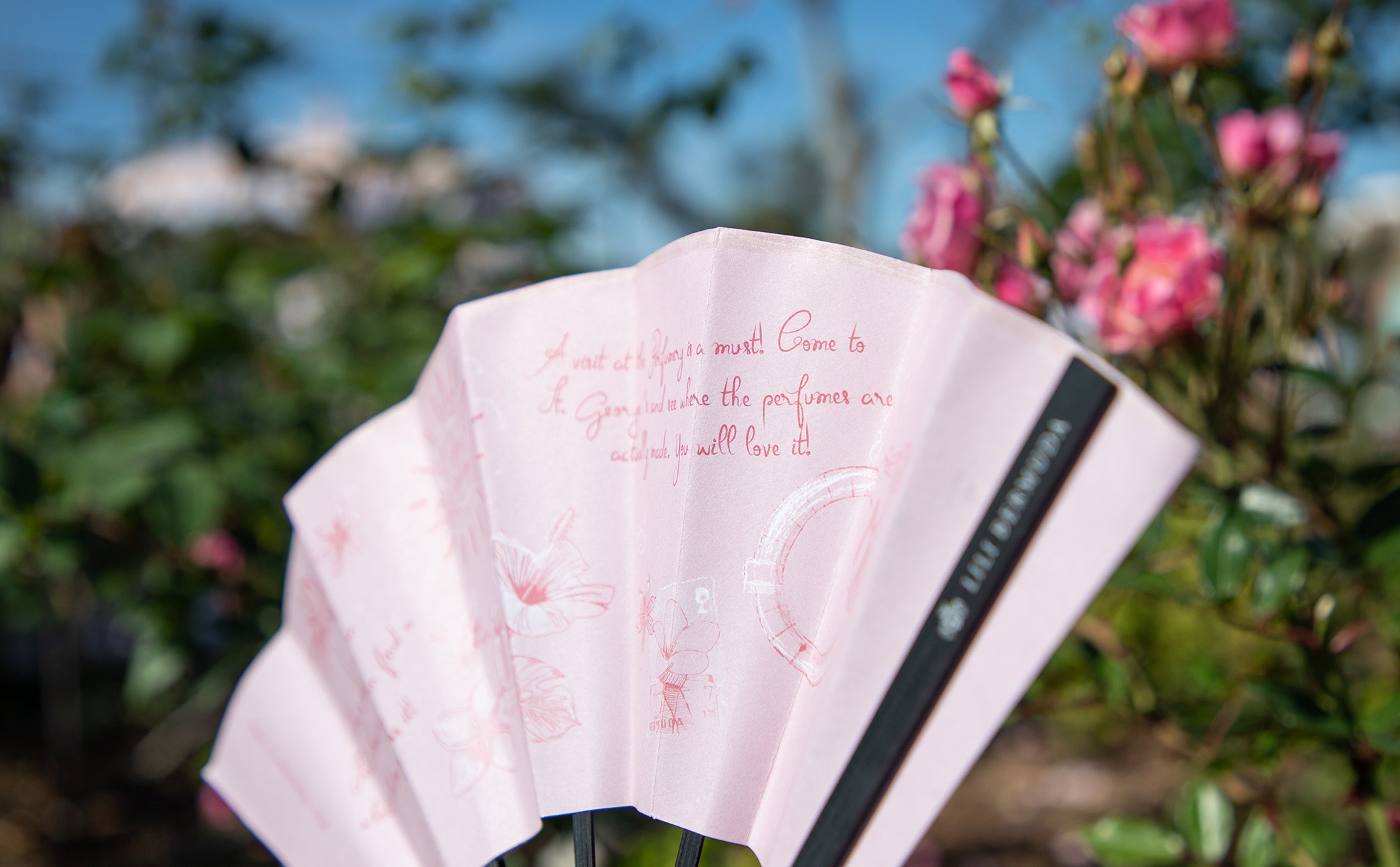 Petals and Plates – A Sensorial Picnic