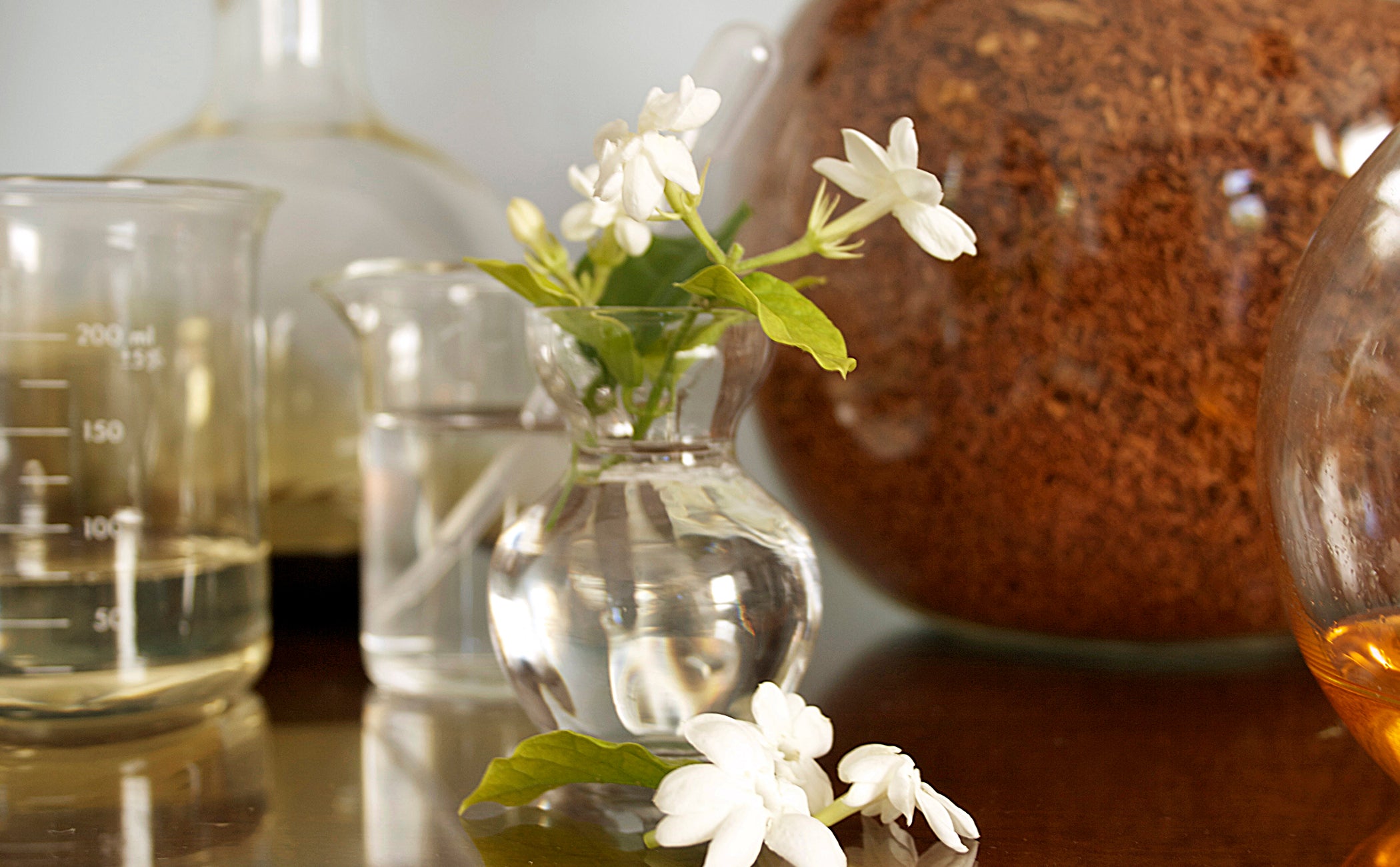 All about Essential Oils