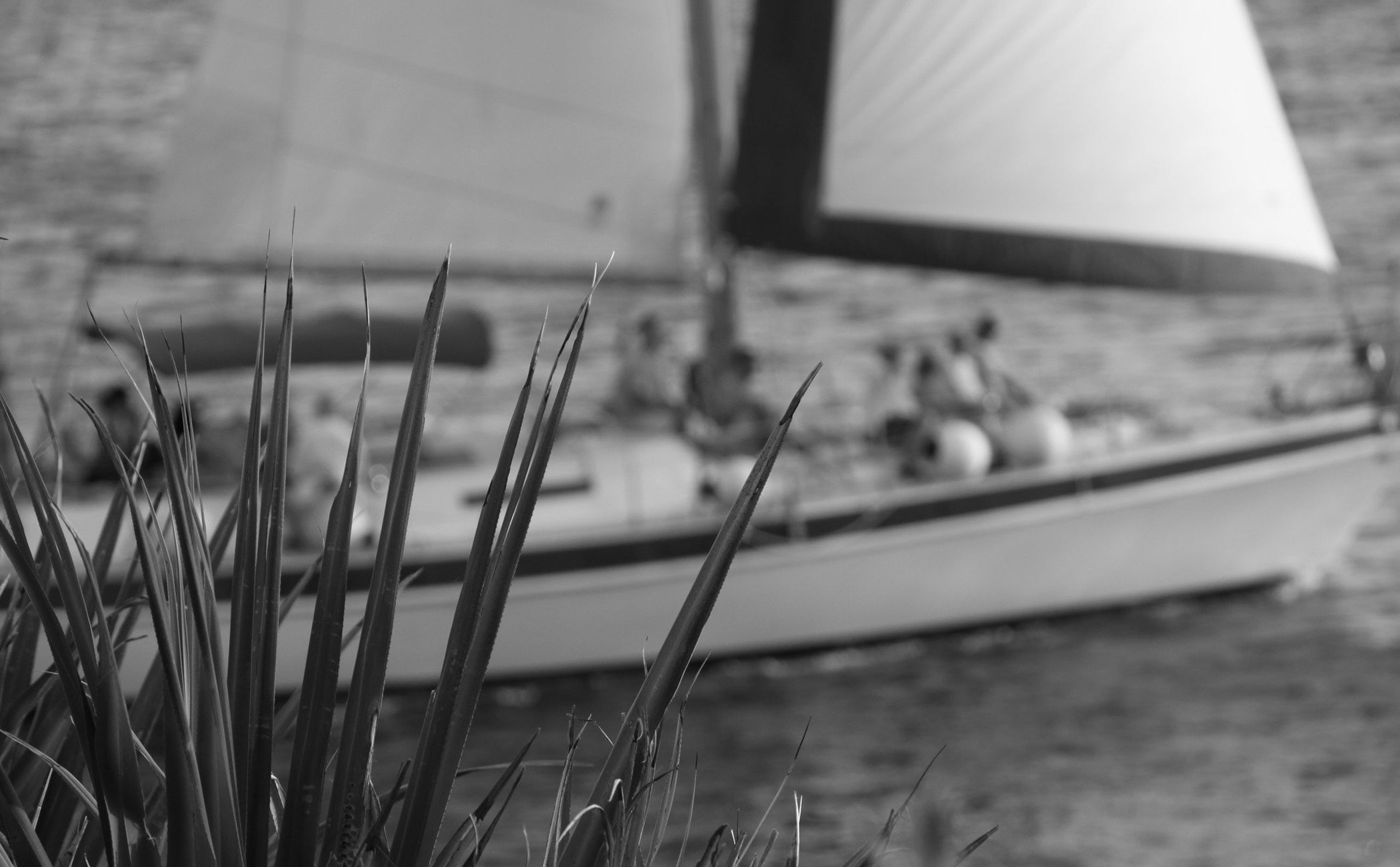 Discover Our Father’s Day Gifts