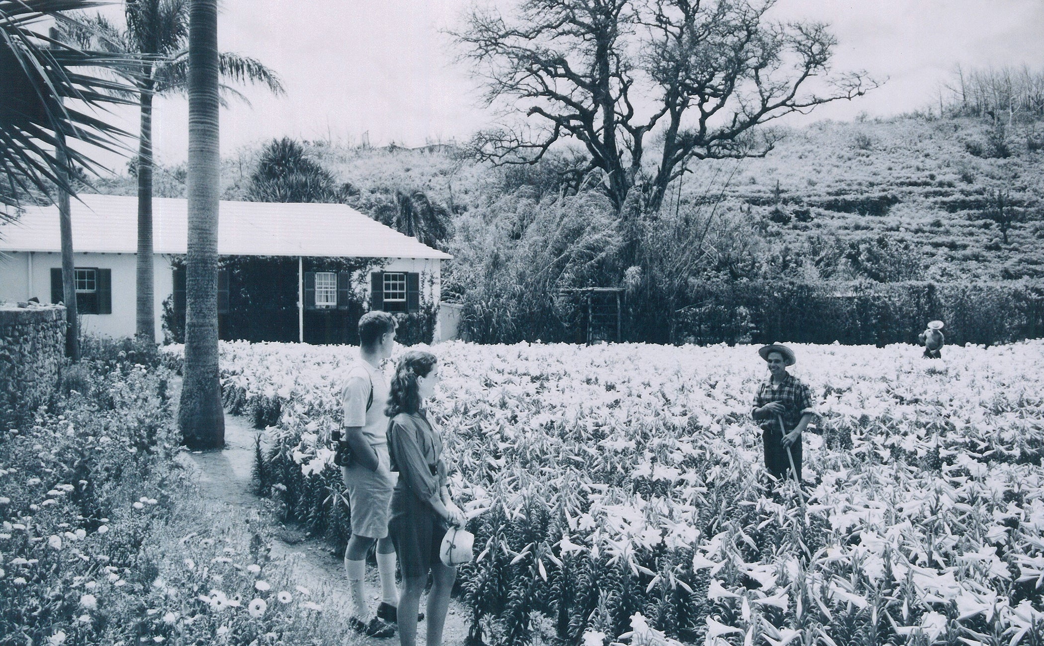 Why don’t you use local flowers?