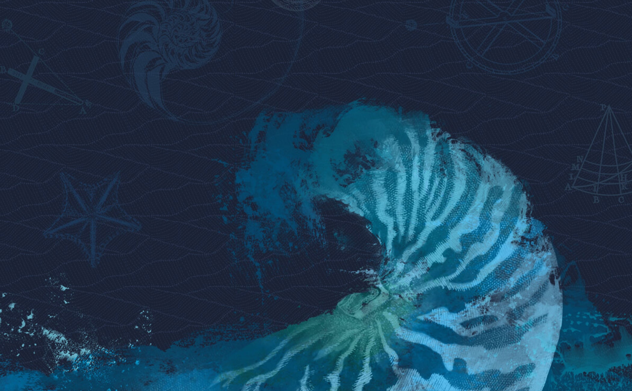 The Inspiration Behind Nautilus