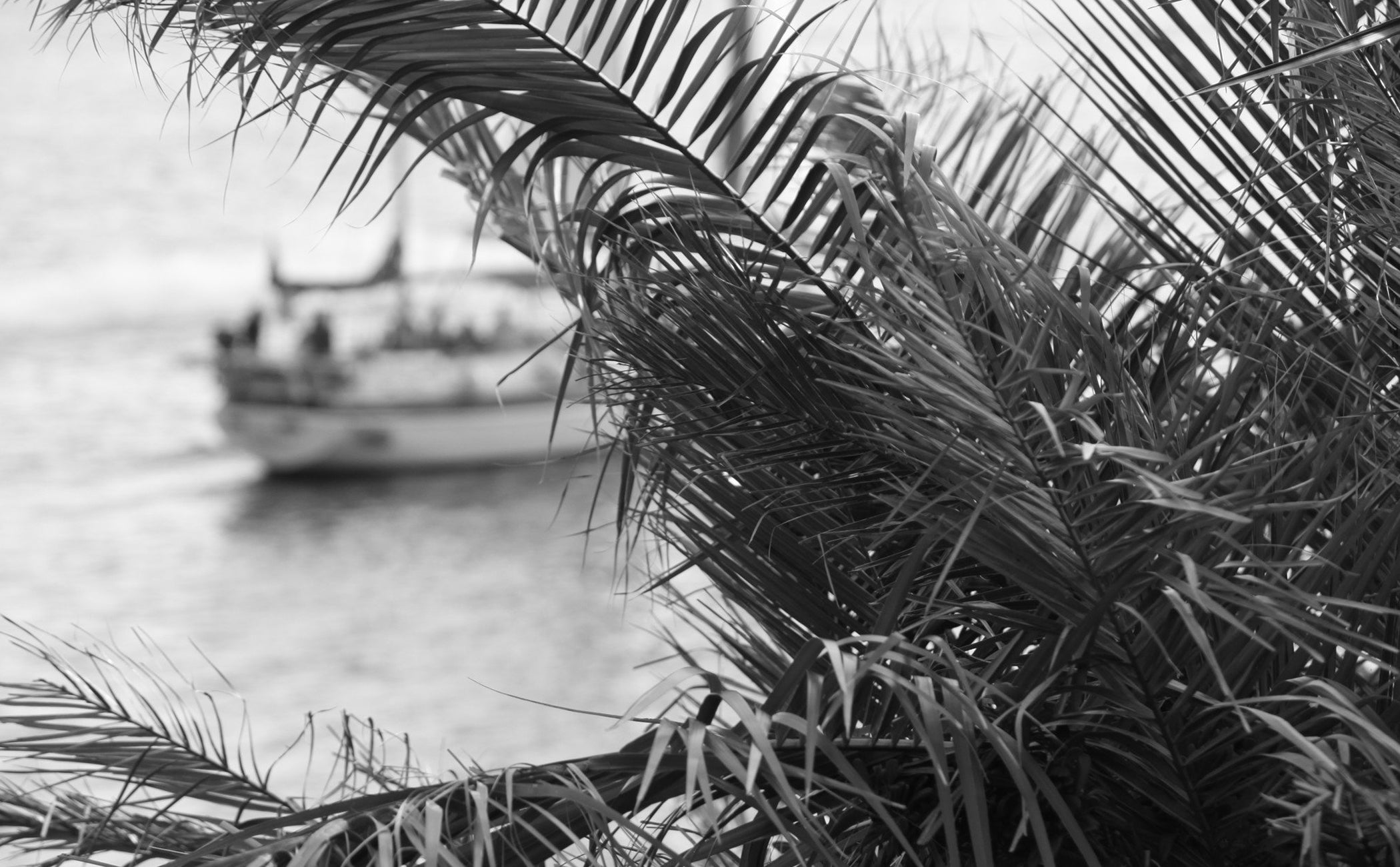 Winter in Bermuda