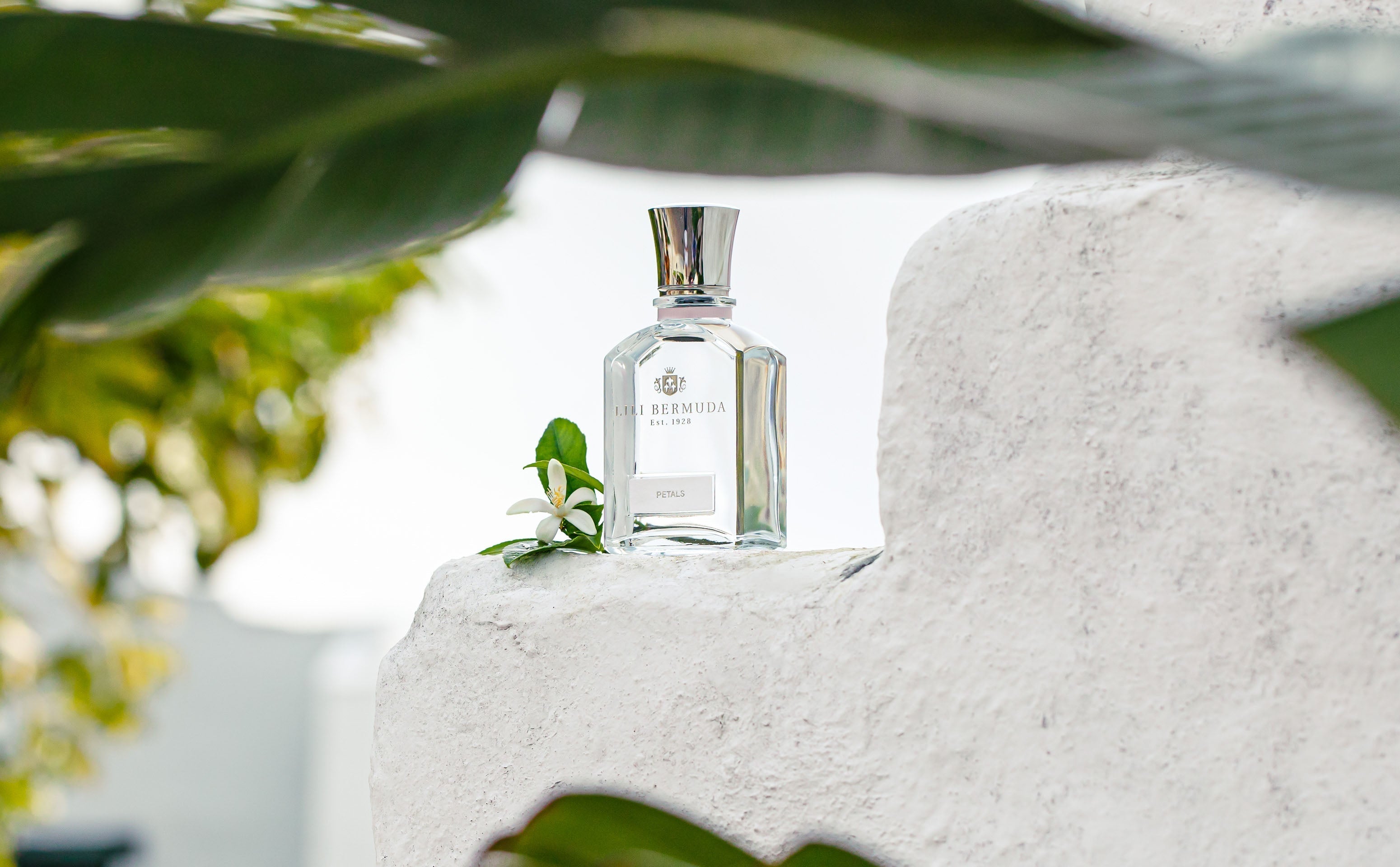 A New Chapter for Lili Bermuda Perfumery