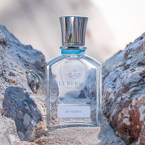 32 North Beach (PORTRAIT)