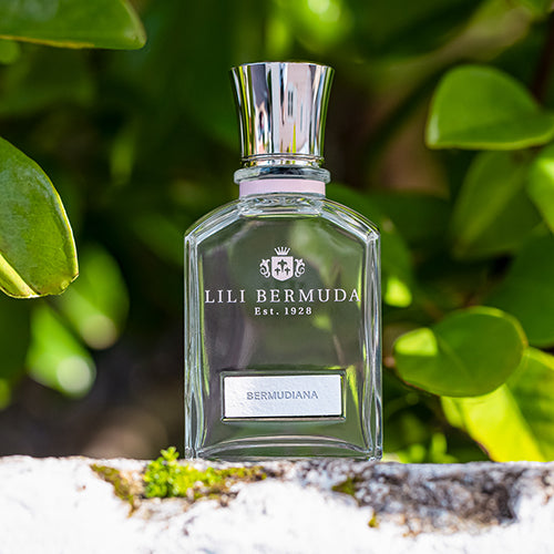 Bermudiana EDP (LANDSCAPE)