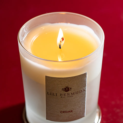 Cedar Candle Red Back (PORTRAIT)