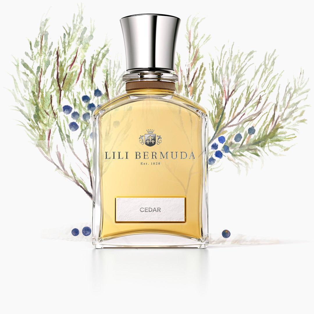 Eau de Parfum Cedar