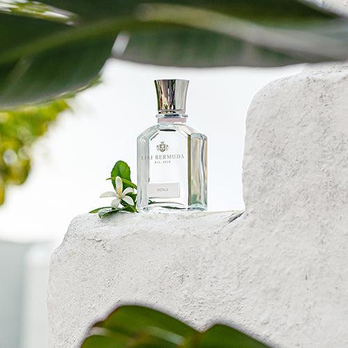 Petals On Wall (LANDSCAPE)