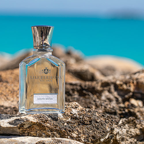 South Water Coast (LANDSCAPE)