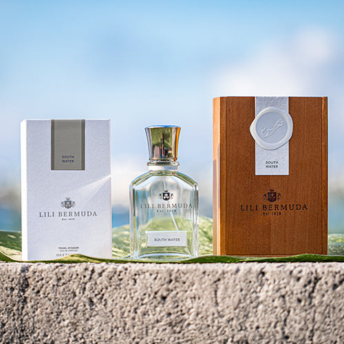 South Water Wall (LANDSCAPE)