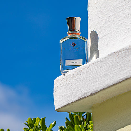 SunKiss Light (LANDSCAPE)