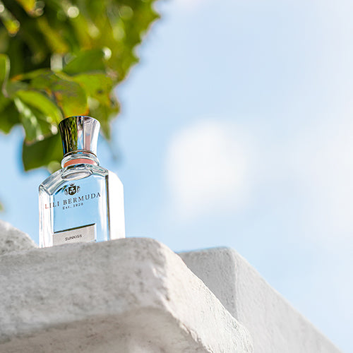 SunKiss On Wall (LANDSCAPE)